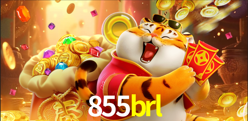 855brl.com