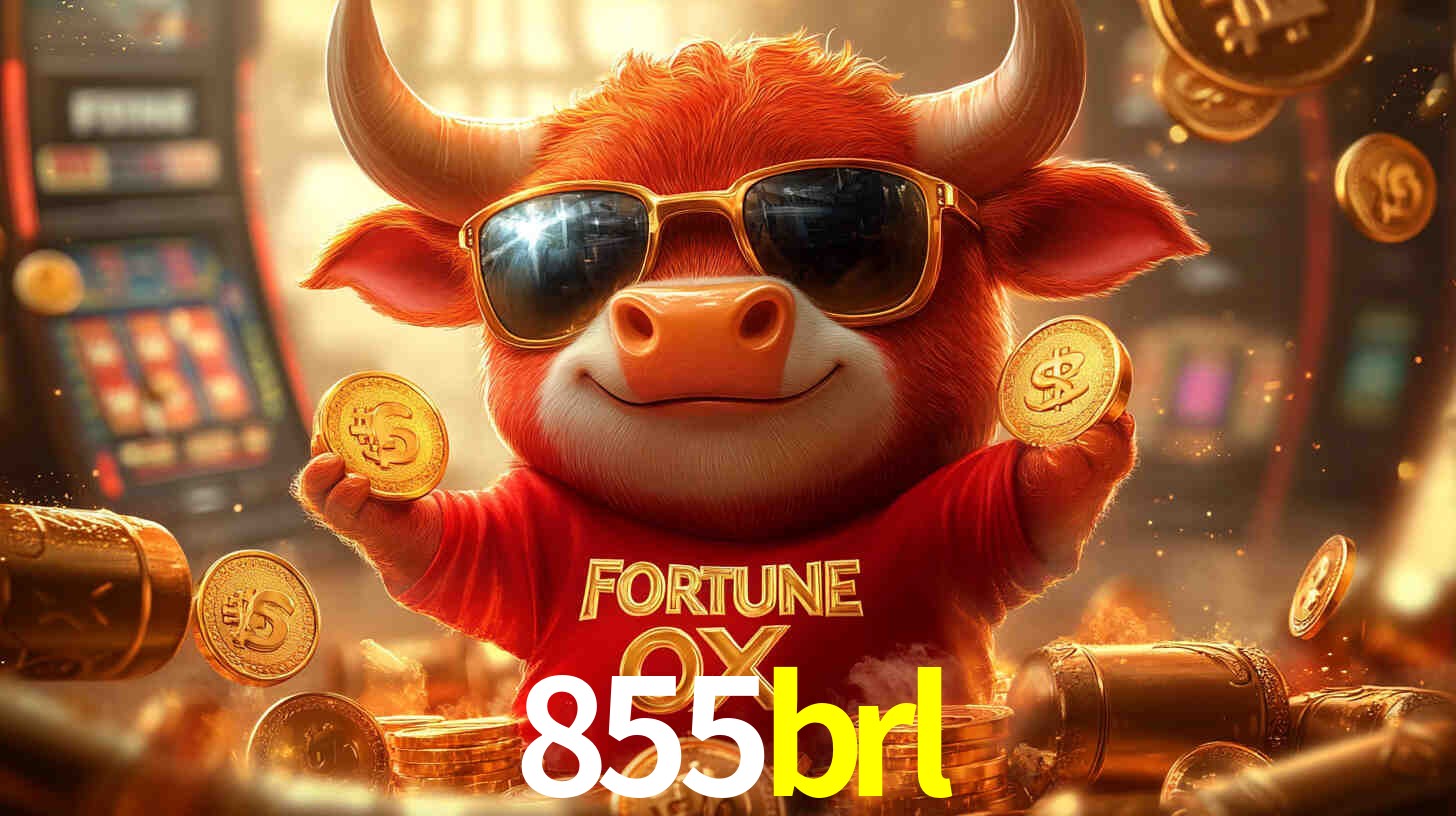 855brl